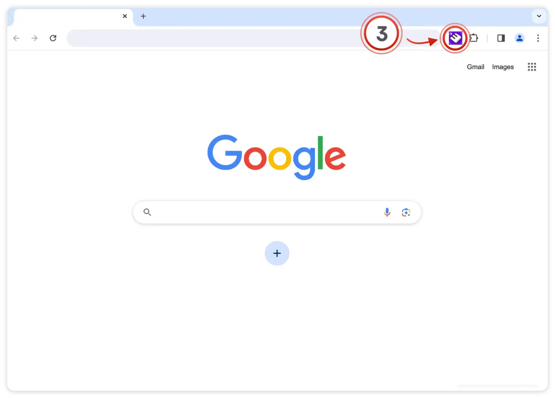 Extension Instructions